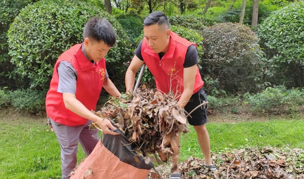 【北欧焕新颜】清理枯枝落叶，营造整洁环境