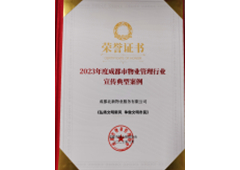 成都市宣传典型案例